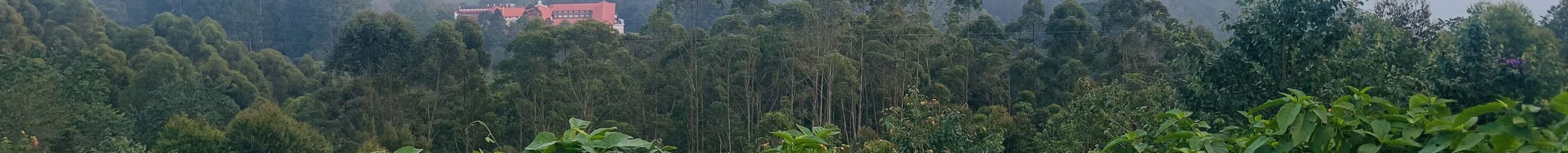 About Me feature image